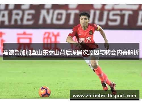 马德鲁加加盟山东泰山背后深层次原因与转会内幕解析