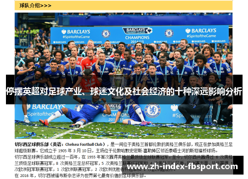 停摆英超对足球产业、球迷文化及社会经济的十种深远影响分析