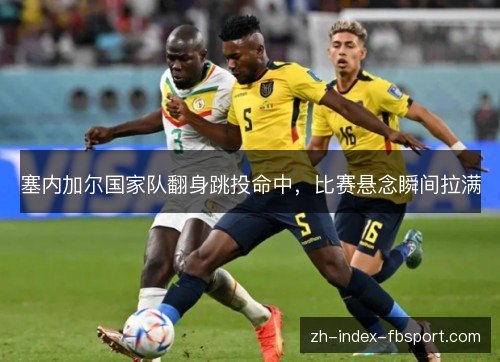 塞内加尔国家队翻身跳投命中，比赛悬念瞬间拉满